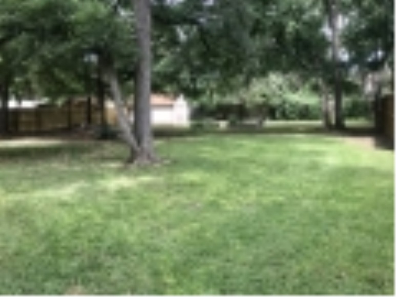 Image for 2018, July 28th | Belton Real Estate and Contents Auction