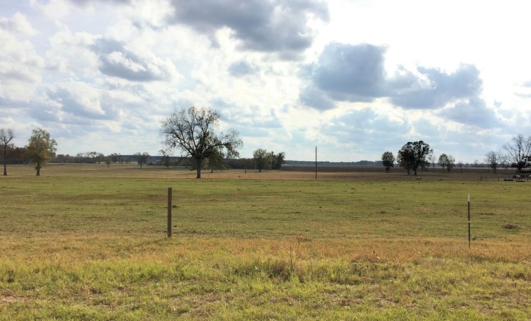 Image for Now Selling at Absolute Auction! 110 +/- Acre Cattle Farm Located in Shellman, Georgia