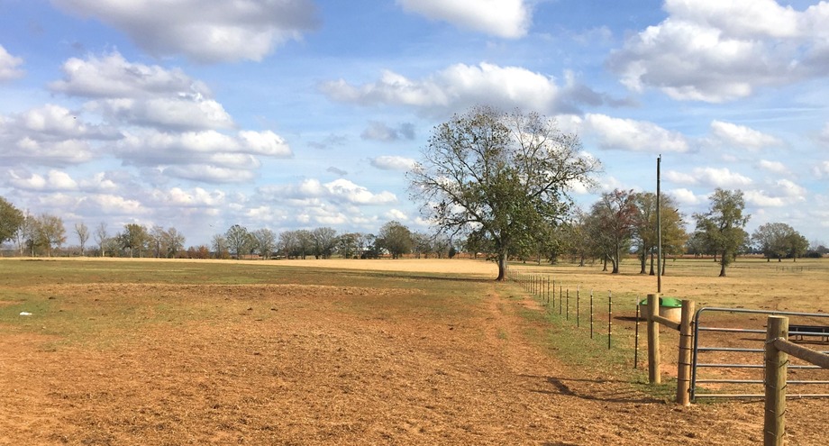 Image for Now Selling at Absolute Auction! 110 +/- Acre Cattle Farm Located in Shellman, Georgia