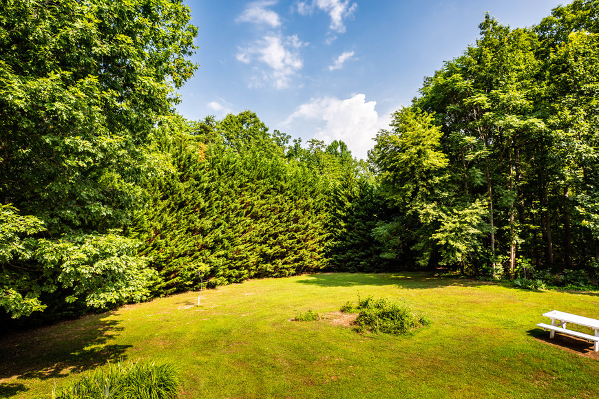 Image for 4 BR/2 BA Brick Home w/Walk-Out Basement on 40 +/- Acres in Madison County, VA.  Selling to the Highest Bidder Regardless of Price!!