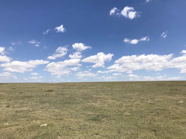 Image for ELLIS W. HITZING AUCTION -  SUCCESSFUL AUCTION - SOLD $642,000