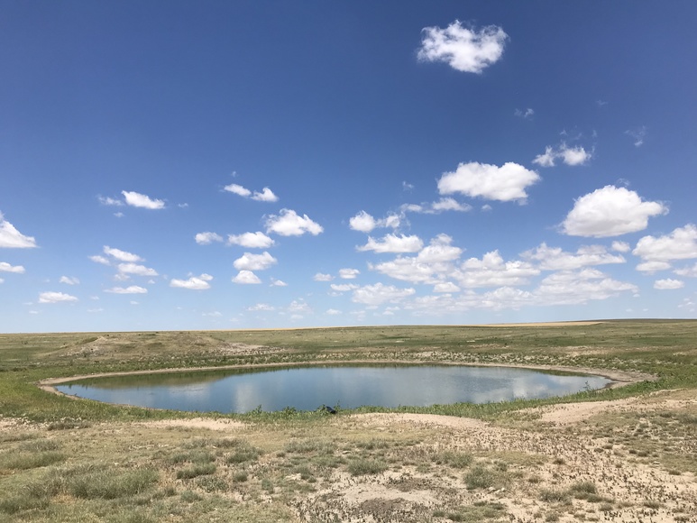 Image for ELLIS W. HITZING AUCTION -  SUCCESSFUL AUCTION - SOLD $642,000