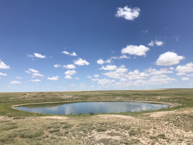 Image for ELLIS W. HITZING AUCTION -  SUCCESSFUL AUCTION - SOLD $642,000