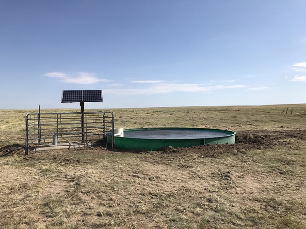 Image for ELLIS W. HITZING AUCTION -  SUCCESSFUL AUCTION - SOLD $642,000