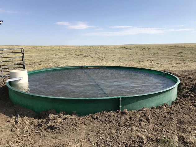 Image for ELLIS W. HITZING AUCTION -  SUCCESSFUL AUCTION - SOLD $642,000