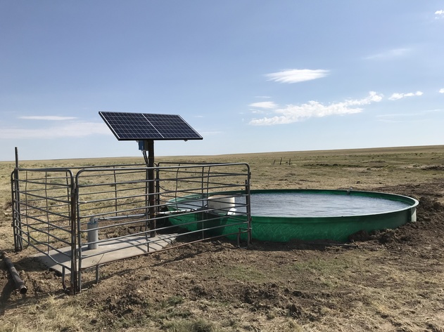 Image for ELLIS W. HITZING AUCTION -  SUCCESSFUL AUCTION - SOLD $642,000