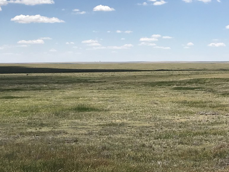 Image for ELLIS W. HITZING AUCTION -  SUCCESSFUL AUCTION - SOLD $642,000