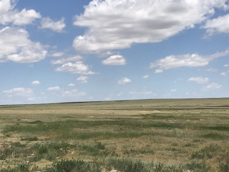 Image for ELLIS W. HITZING AUCTION -  SUCCESSFUL AUCTION - SOLD $642,000