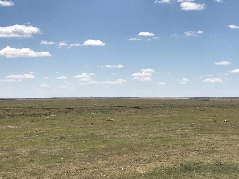 Image for ELLIS W. HITZING AUCTION -  SUCCESSFUL AUCTION - SOLD $642,000