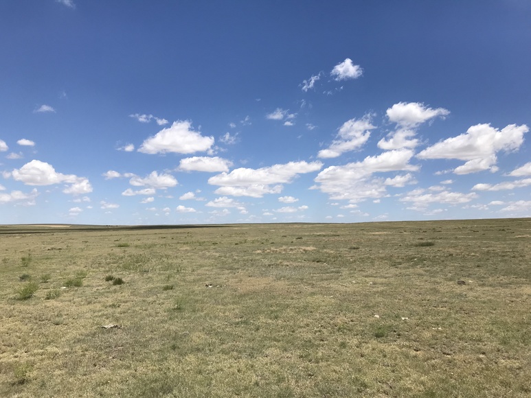 Image for ELLIS W. HITZING AUCTION -  SUCCESSFUL AUCTION - SOLD $642,000