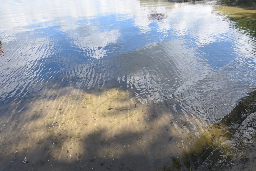 Image for Waterfront Lot on Pine Lake, Cloverleaf Lakes, Shawano County, WI