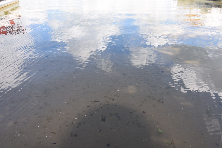 Image for Waterfront Lot on Pine Lake, Cloverleaf Lakes, Shawano County, WI