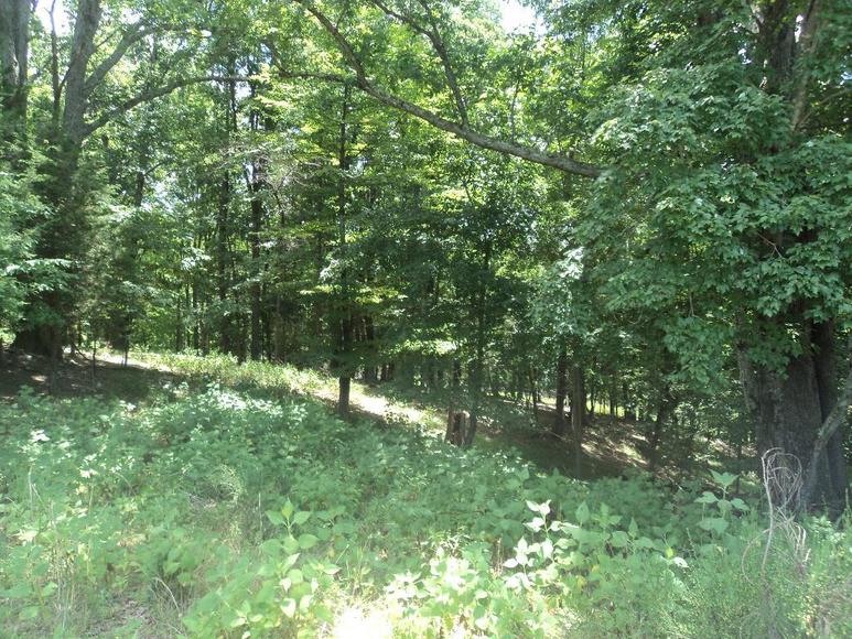 Image for William Walker Jr. Estate