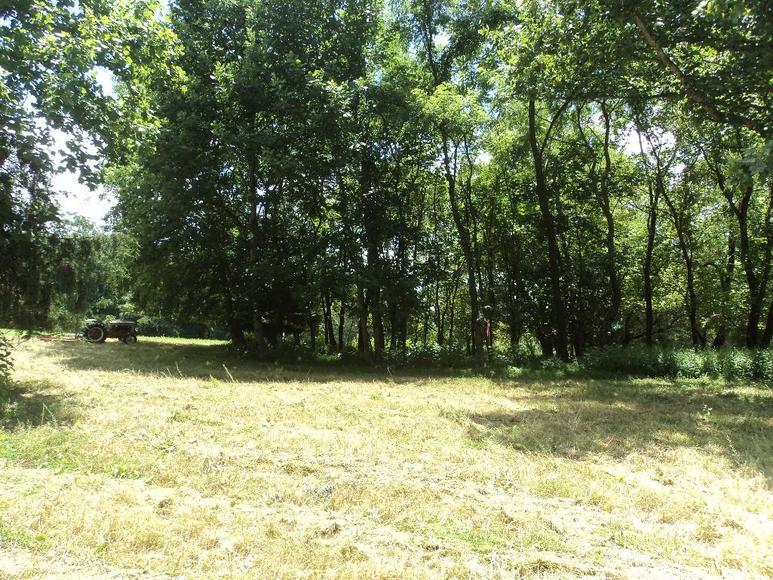 Image for William Walker Jr. Estate