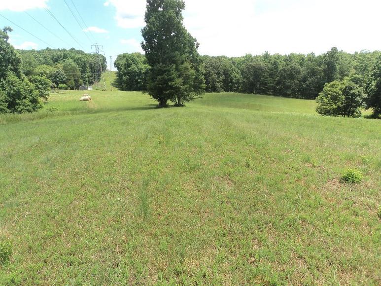 Image for William Walker Jr. Estate