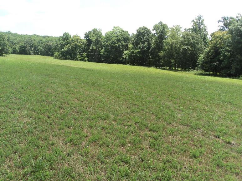 Image for William Walker Jr. Estate