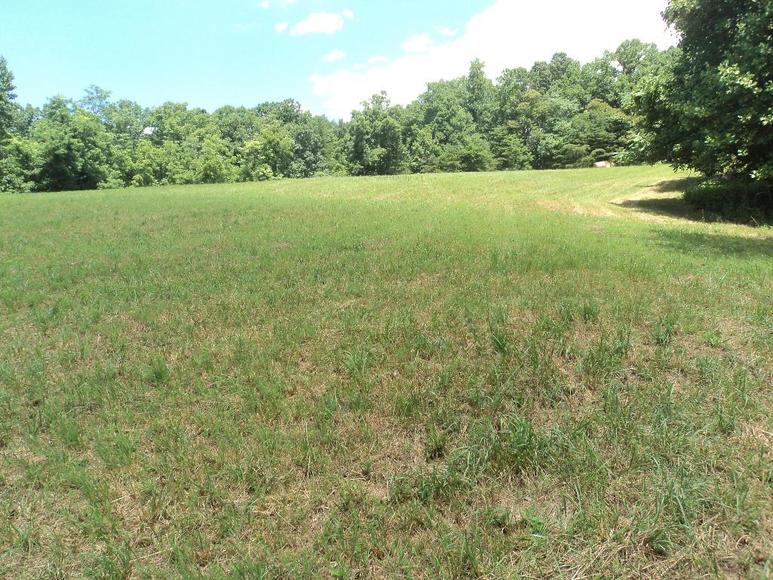 Image for William Walker Jr. Estate