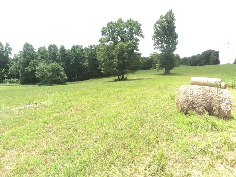 Image for William Walker Jr. Estate