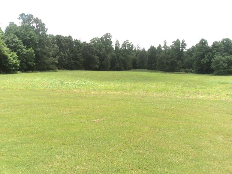 Image for William Walker Jr. Estate