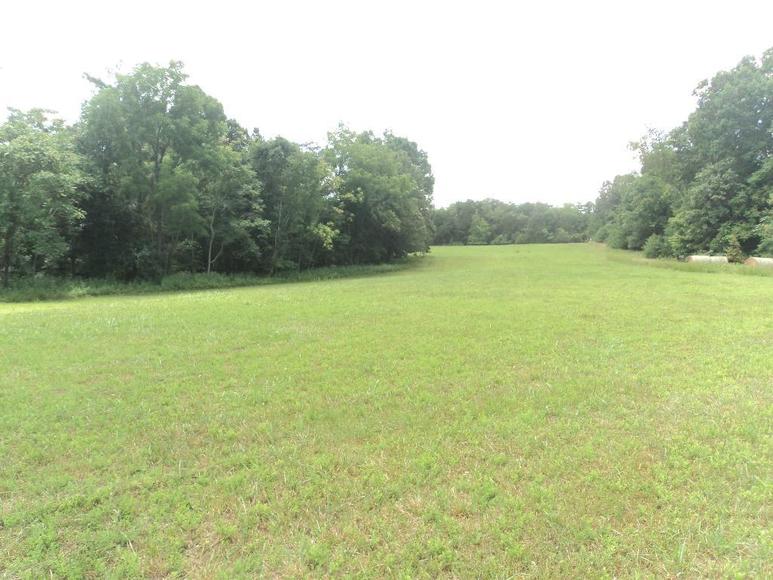 Image for William Walker Jr. Estate