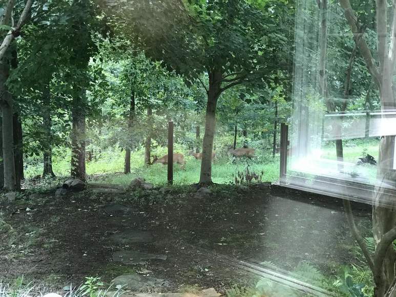 Image for 20281 Gleedsville Road; Leesburg, VA 20175