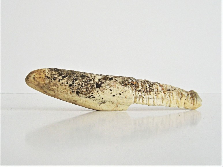 Image for THULE HARPOON HEAD