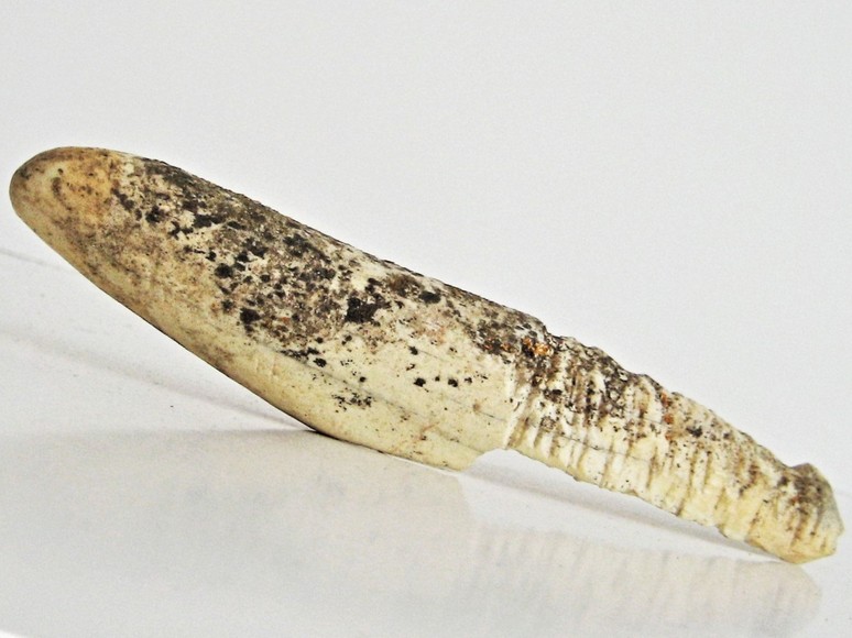 Image for THULE HARPOON HEAD