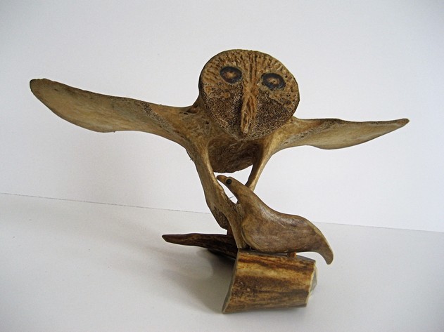 Image for LEGEND OF THE SNOWY OWL AND THE RAVEN