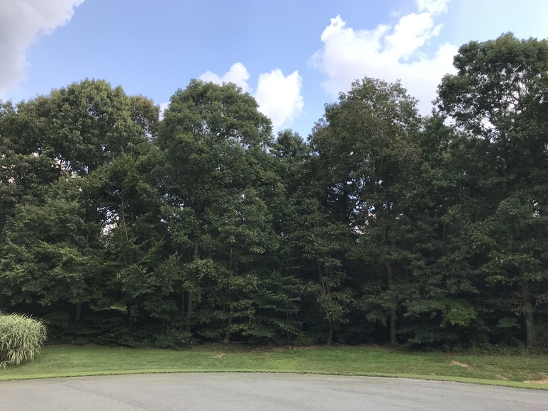 Image for 5112 Nuthall Pl., Henrico, VA