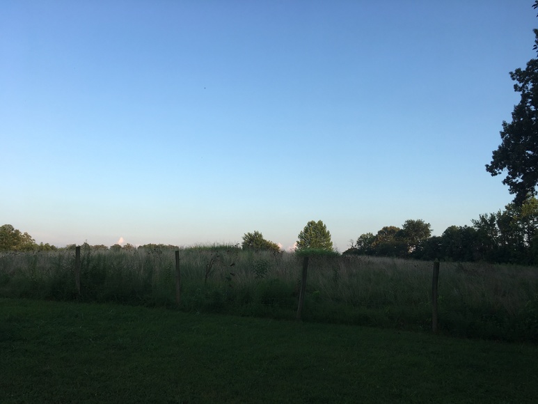 Image for 249 MUDDY FORK LANE