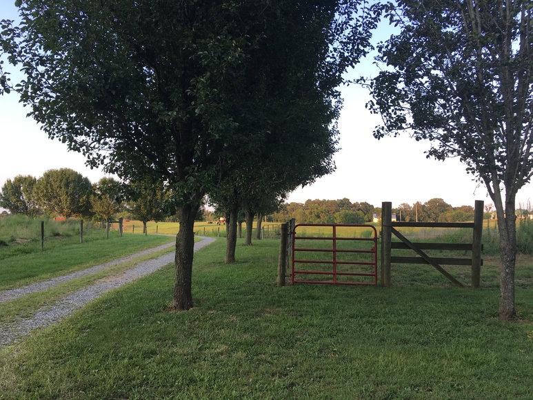 Image for 249 MUDDY FORK LANE