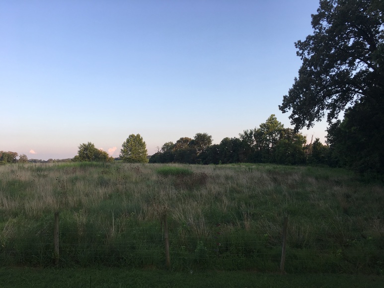 Image for 249 MUDDY FORK LANE