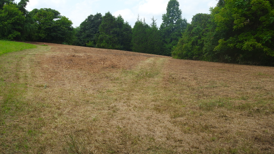 Image for 12 +/- Acres (3 Potential Parcels) of Lake Anna Residential Raw Land Selling at or Above $25,000!!  ONLINE ONLY BIDDING