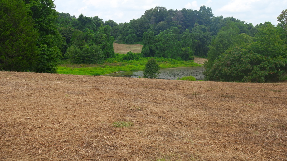 Image for 12 +/- Acres (3 Potential Parcels) of Lake Anna Residential Raw Land Selling at or Above $25,000!!  ONLINE ONLY BIDDING