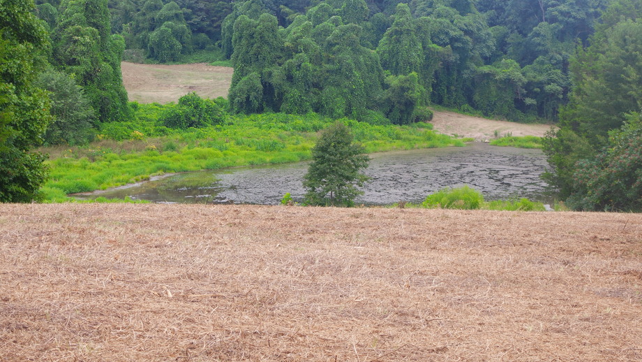 Image for 12 +/- Acres (3 Potential Parcels) of Lake Anna Residential Raw Land Selling at or Above $25,000!!  ONLINE ONLY BIDDING