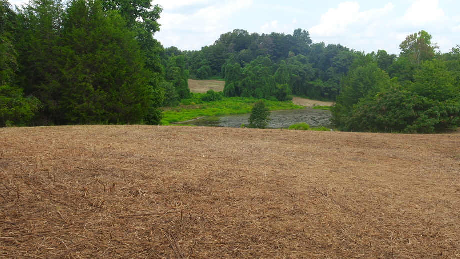 Image for 12 +/- Acres (3 Potential Parcels) of Lake Anna Residential Raw Land Selling at or Above $25,000!!  ONLINE ONLY BIDDING