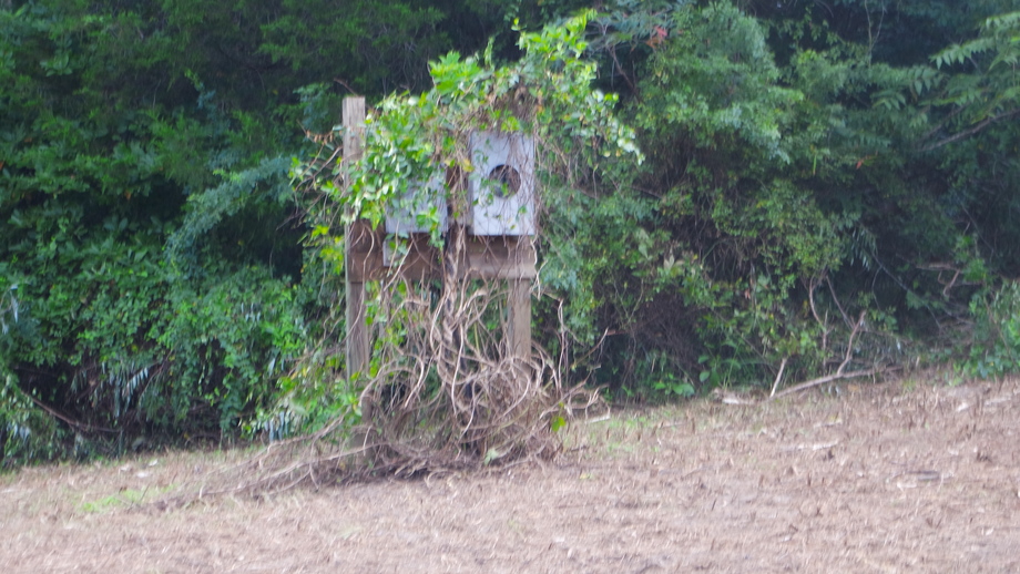 Image for 12 +/- Acres (3 Potential Parcels) of Lake Anna Residential Raw Land Selling at or Above $25,000!!  ONLINE ONLY BIDDING