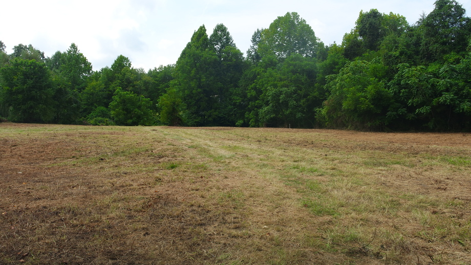 Image for 12 +/- Acres (3 Potential Parcels) of Lake Anna Residential Raw Land Selling at or Above $25,000!!  ONLINE ONLY BIDDING