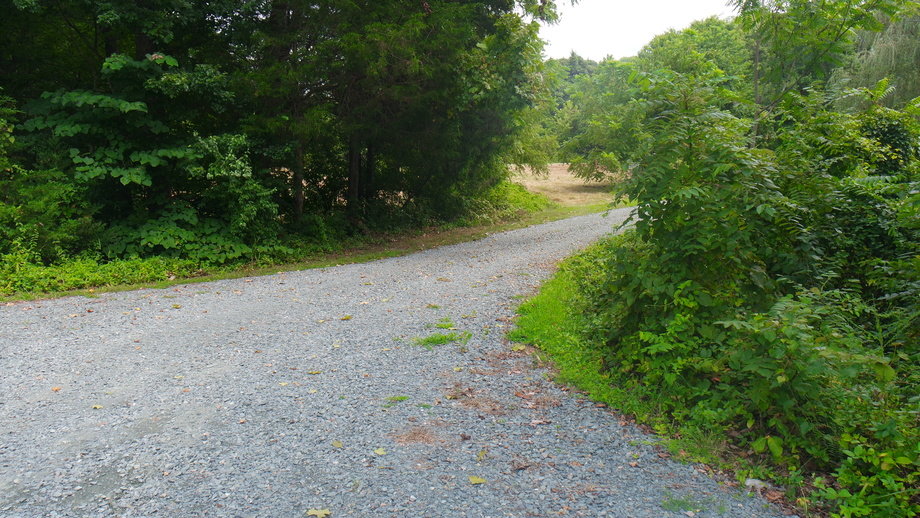 Image for 12 +/- Acres (3 Potential Parcels) of Lake Anna Residential Raw Land Selling at or Above $25,000!!  ONLINE ONLY BIDDING