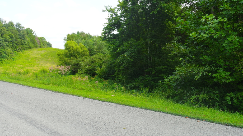 Image for 12 +/- Acres (3 Potential Parcels) of Lake Anna Residential Raw Land Selling at or Above $25,000!!  ONLINE ONLY BIDDING