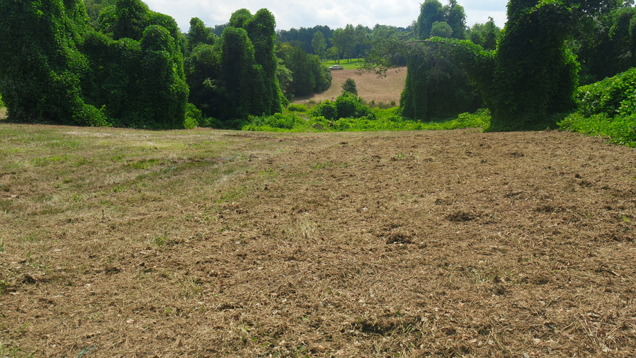 Image for 12 +/- Acres (3 Potential Parcels) of Lake Anna Residential Raw Land Selling at or Above $25,000!!  ONLINE ONLY BIDDING