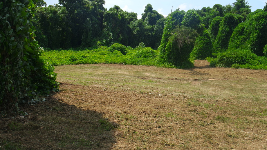 Image for 12 +/- Acres (3 Potential Parcels) of Lake Anna Residential Raw Land Selling at or Above $25,000!!  ONLINE ONLY BIDDING