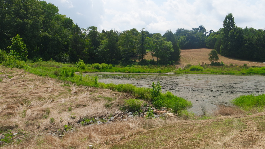 Image for 12 +/- Acres (3 Potential Parcels) of Lake Anna Residential Raw Land Selling at or Above $25,000!!  ONLINE ONLY BIDDING