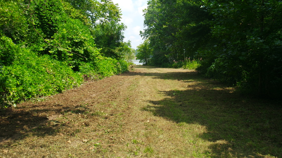 Image for 12 +/- Acres (3 Potential Parcels) of Lake Anna Residential Raw Land Selling at or Above $25,000!!  ONLINE ONLY BIDDING