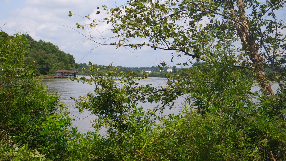 12 +/ Acres of Lake Anna Residential Raw Land Selling at or Above