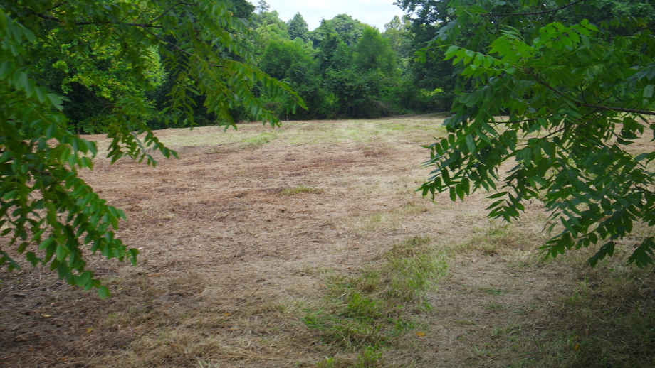 Image for 12 +/- Acres (3 Potential Parcels) of Lake Anna Residential Raw Land Selling at or Above $25,000!!  ONLINE ONLY BIDDING