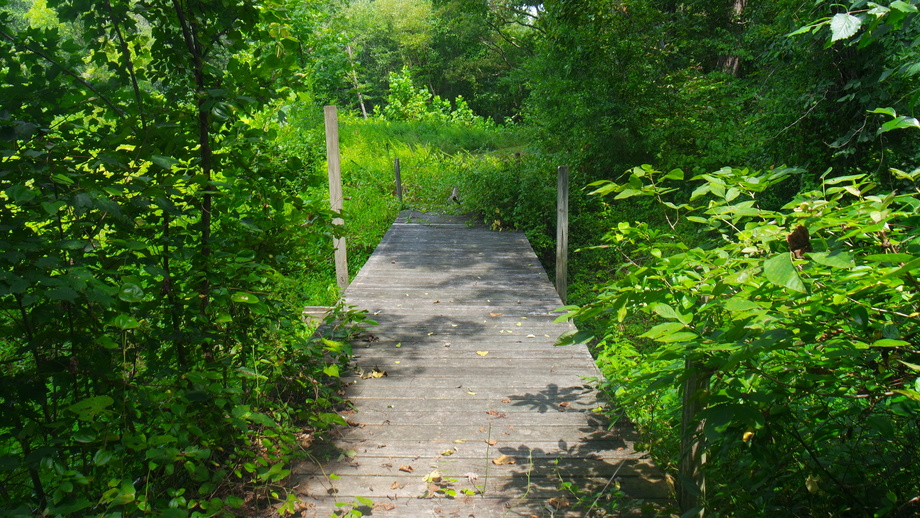 Image for 12 +/- Acres (3 Potential Parcels) of Lake Anna Residential Raw Land Selling at or Above $25,000!!  ONLINE ONLY BIDDING