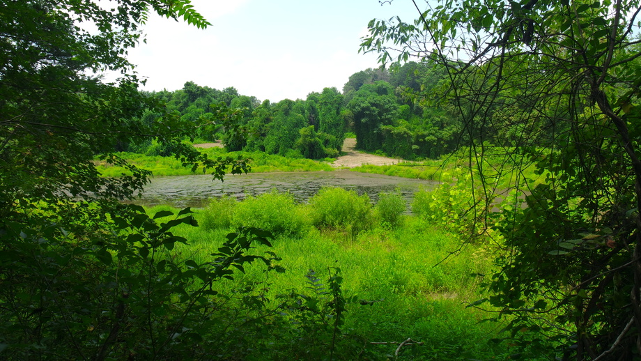 Image for 12 +/- Acres (3 Potential Parcels) of Lake Anna Residential Raw Land Selling at or Above $25,000!!  ONLINE ONLY BIDDING