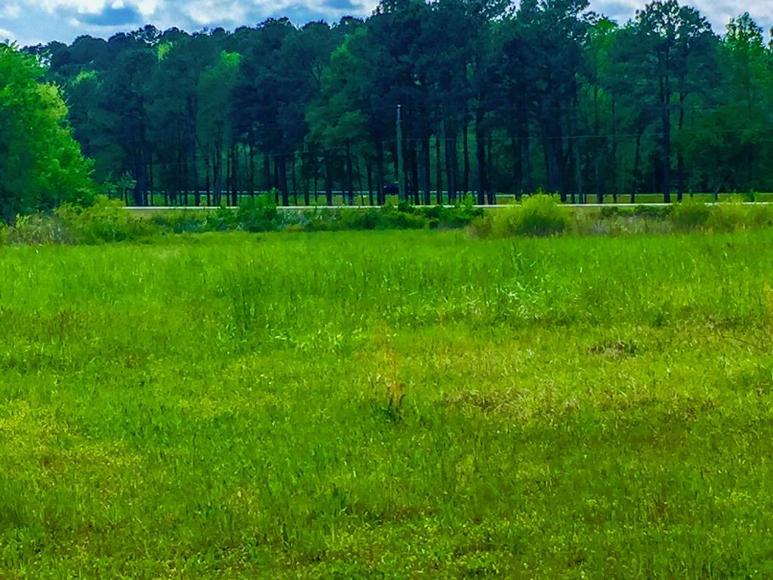 Roanoke Rapids NC Properties