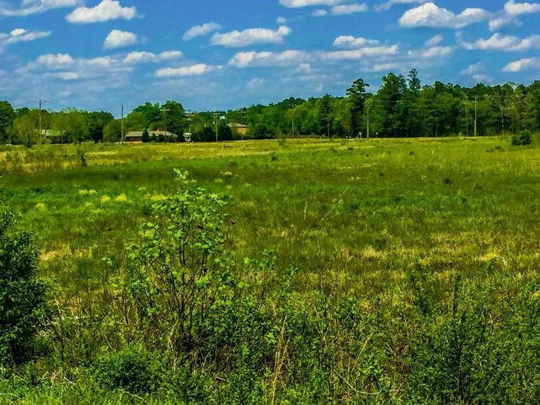 Roanoke Rapids NC Properties